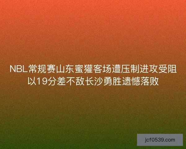 NBL常规赛山东蜜獾客场遭压制进攻受阻以19分差不敌长沙勇胜遗憾落败